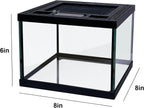 Mini Reptile Glass Terrarium Tank 8 * 8 * 6" Full View, Amphibians Box Habitat Enclosure Cage for Frog,Spiders,Dubia Cockroach,Praying Mantis,Cricket,Tarantula,Hermit Crab