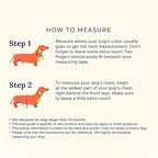 Lucy & Co. Cheery Cherries, Cute Reversible Dog Harness Walking Halter - Best Designer Pet Harnesses for XS - XL Dogs - Padded Adjustable Vest for Easy Walking (Small)