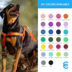 Blueberry Pet Essentials Emerald Dog Leash for X-Small -5' * 3/8" Dogs | Heavy Duty Nylon Lead | Lightweight Puppy & Cat Leash for Walking & Training