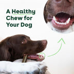 Pupford Dental Chews for Dogs, All-Natural 4-Inch Sticks for Plaque, Tartar & Bad Breath, Grooved Texture, Limited Ingredients, Made in USA (30 Count)