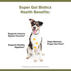 Super Gut Biotics Canine Digestive Supplement,Probiotics, Prebiotics, Supports Healthy Digestion, Immune System Function and Gut Flora by Katherine Heigl (30 Scoops)