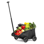 Mini Dog Strollers for Mini Pets, Foldable Multifunctional Shopping Carts with Extendable Pull Handle, Doggie Wagon Built-in Cushion and Safety Rope with Storage Bag (Black)