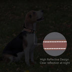 Reflective Dog Collar Padded with Soft Neoprene Breathable Quick Release Basic Dog Collars for Puppy Small Dogs Coral