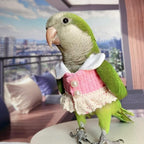 African Grey Bird Diaper Flight Suit - Pink Top Cosplay Photo Prop for Parrots, Lovebirds, Parakeets & Cockatiels