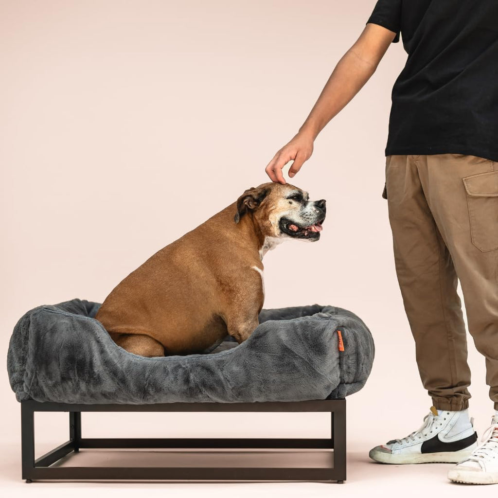FUZI Luxury Aesthetic Dog Bed for Large Dogs with Washable Cover, Pet Couch, Pet Bed with Sides, Non-Slip Bottom, Soft and Durable Calming Dog Bed, Large 35.6x28.5x9.5 Dark Grey