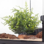 Fake Green Boston Fern, Reptile Plants for Terrarium, Amphibian Tank Accessories Habitat Decor fit Crested Gecko Leopard Lizard Chameleon Ball Python Snake Frog