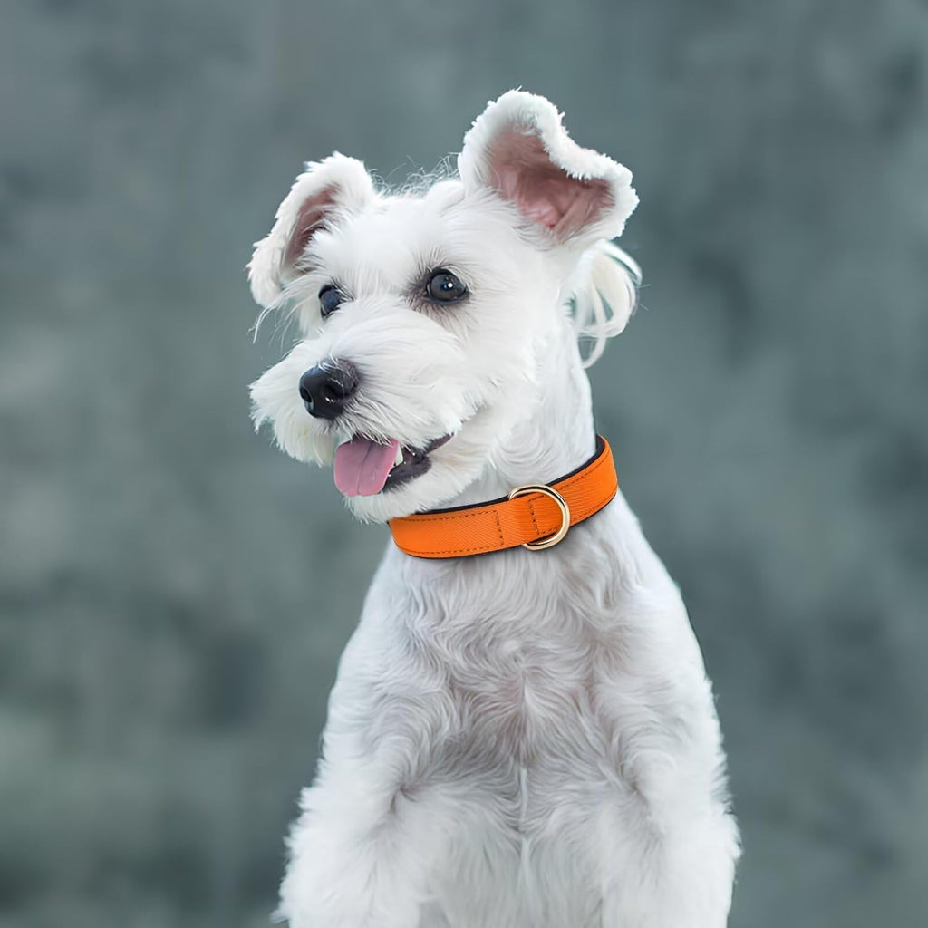 Didog Soft Padded Dog Collars for Medium Dogs, Lightweight and Breathable Dog Collar with Metal Buckle, Orange, L