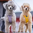 Hurtta Seeker Harness, Lavender, 16-20 in