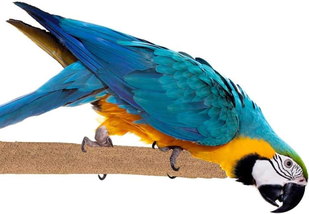 Super Bird Creations SB1154 Sure-Grip Grooming Perch Extra Large, Large/XL Bird Size - Enriches Beak and Foot Health - Ideal for Parrots African Greys Cockatoos - XL Bird Size, 1 1/4" diam x 12" (XL)