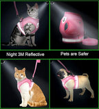 Cat Harnesses and Puppy Harness with Leashes Set, Escape Proof Cat Harness, Adjustable Reflective Soft Mesh Vest Fit Puppy Kitten Rabbit Ferrets's Outdoor Harness