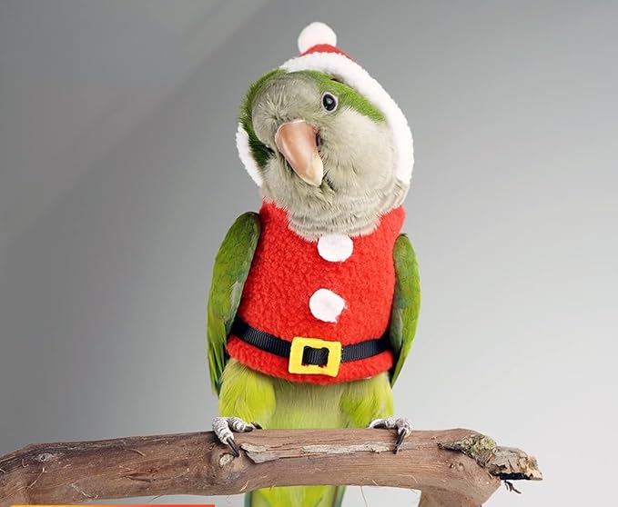 Bird Clothes Birds Flight Suit, Christmas Hoodie for Parrots Cockatiel Sun Conure Christmas Party Cosplay Photo Prop Bird Shirt Small Animals Apparel (Without Diaper,Eclectus)