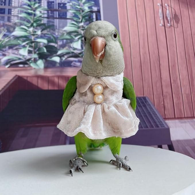 Bird Costume Bird Diaper Flight Suit Parrot Velvet Fleece Skirt Clothes Cosplay Photo Prop for Conure Lovebird Parakeet Cockatiel Macaw Small Animals Apparel (White,X-Large)