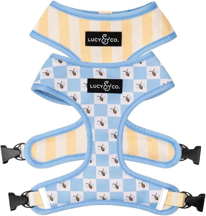 Lucy & Co. Reversible Dog Harness - Water-Repellent Neoprene, Dual-Print Design, Easy Swap Style, Adjustable Comfort Fit - Bumbling Around Reversible Harness - X-Small
