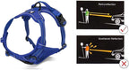 Truelove No Pull Dog Harness with Easy Control Handle and 2 Leash Attachments,Reflective Adjustable Pet Vest