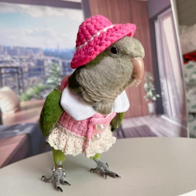 Bird Diaper Flight Suit - Pink Top Cosplay Photo Prop for Parrots, Lovebirds, Parakeets, Cockatiels & Small Animals (Green-cheeked Conure)