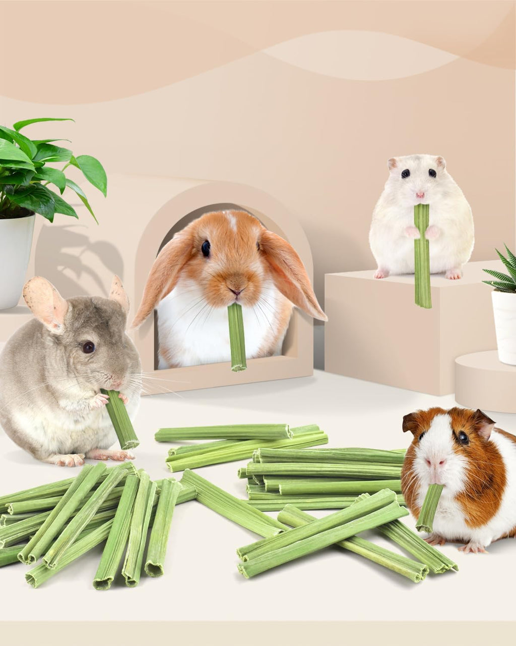 Bissap 50PCS Rabbit Chew Sticks, Natural Papaya Stems Bunny Chews Treats for Rabbits Hamsters Chinchillas Guinea Pigs Small Animals Organic Molar Chewing Snack