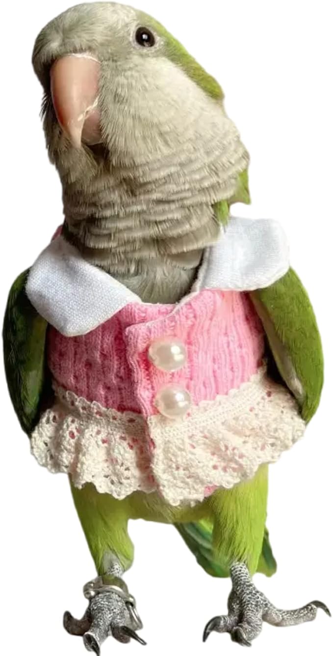 Bird Diaper Flight Suit - Pink Top Cosplay Photo Prop for Parrots, Lovebirds, Parakeets, Cockatiels & Small Animals (Green-cheeked Conure)
