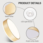 Vikaey Gold LED Ceiling Light Modern Flush Mount Light Fixture Not Dimmable Round Metal Ceiling Lamp with Acrylic Lampshade for Living Room Entryway Bedroom Kitchen 15.74 Inch