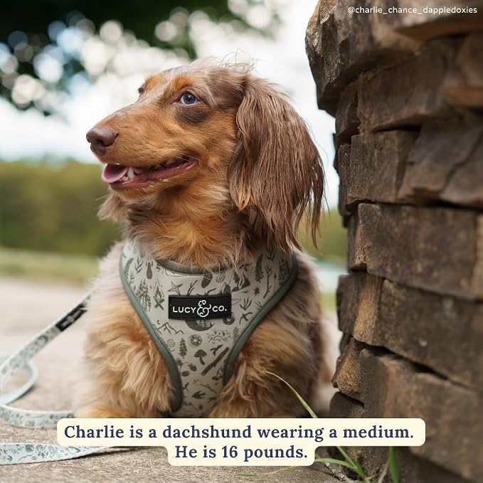 Lucy & Co. Reversible Dog Harness - Water-Repellent Neoprene, Dual-Print Design, Easy Swap Style, Adjustable Comfort Fit - Camp Out Reversible Harness - X-Large
