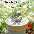 FANTIAN 2 lbs White River Rocks for Plants, 3/8 Inch Gravel Pebbles for Plants. Decorative White Stones for Succulents, Cactus, Vase and Outdoor Garden Landscaping