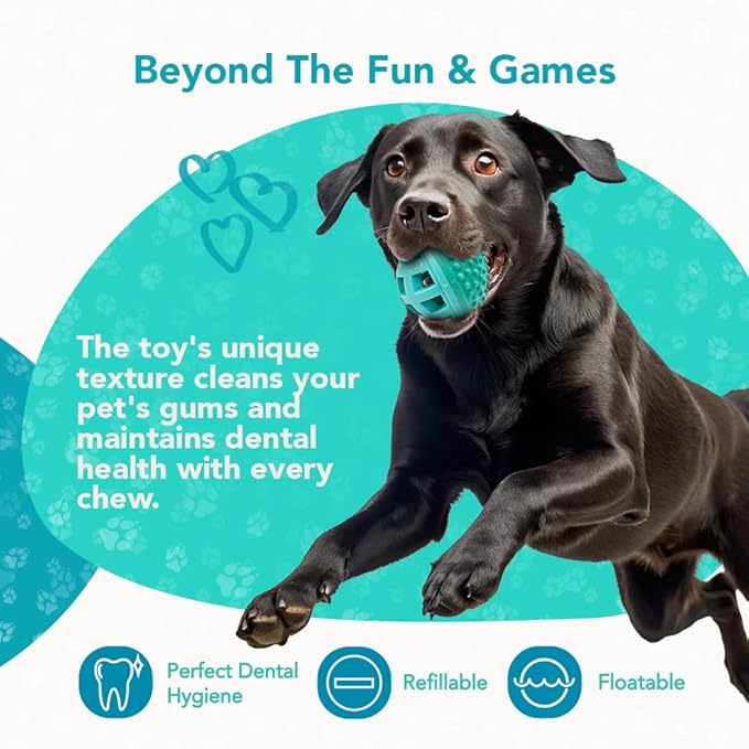 Treat Dispenser Ball Toy, Beef Flavored Interactive Dispensing, Floatable Dog Toys with Treats
