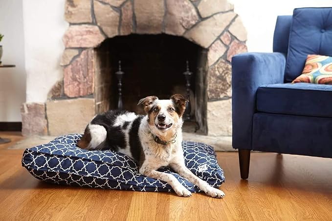 Molly Mutt Sheepy Wool-Filled Crate Pad, GOTS-Certified 100% Organic Cotton Canvas Cover with Soft 100% Natural Wool Insert, Ideal for Dog Bed or Kennel, Rough Gem, 54" x 37" x 2.5"