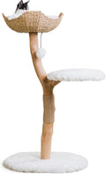 Wooden Cat Climbing Tree Tower, Modern Single Branch Cat Condo, Wood, Cat Lover Furniture Gift by MAU LIFESTYLE (Alpine White)