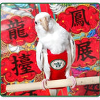 MANON ROSA Bird Diapers Leash Set Washable Reusable Handmade Flight Suit Waterproof Inner Layer - Protective Parrot Nappy Clothes Parakeets Macaws Budgies Canaries (Yellow1,Lovebird)