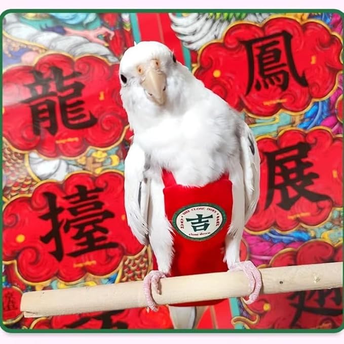 MANON ROSA Bird Diapers Leash Set Washable Reusable Handmade Flight Suit Waterproof Inner Layer - Protective Parrot Nappy Clothes Parakeets Macaws Budgies Canaries (Red5,Dove)