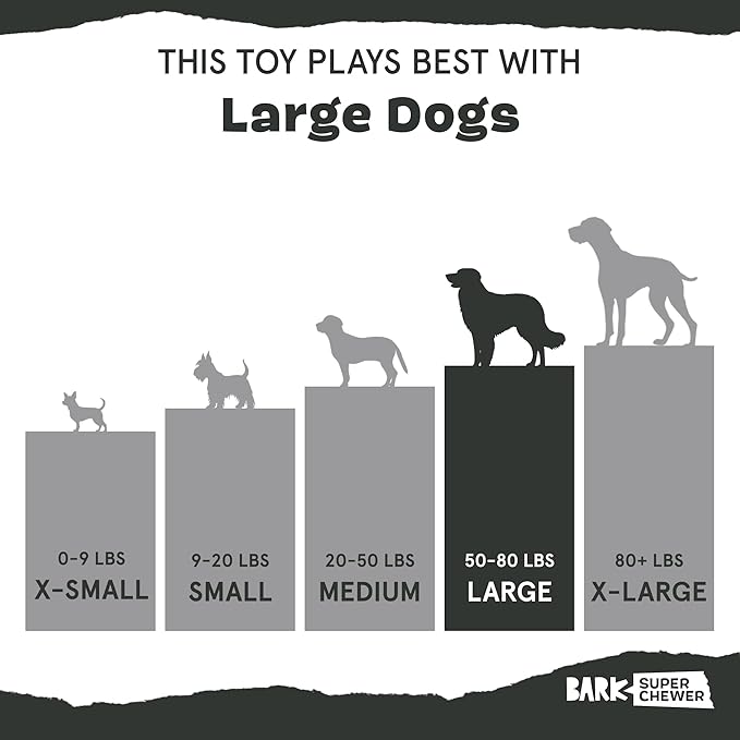 Barkbox Super Chewer Tough Dog Chew Toys for Aggressive Chewers, Treat Dispensing (Origin - Large)