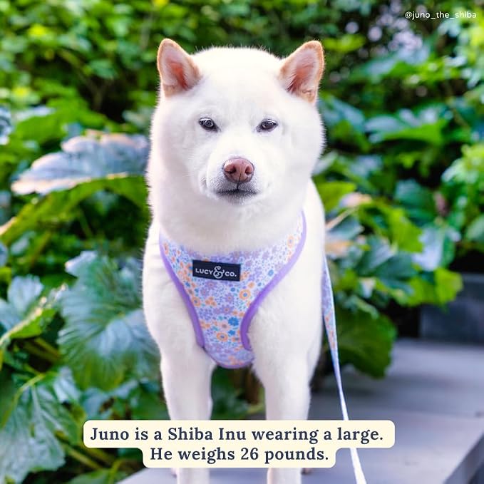 Lucy & Co. Reversible Dog Harness - Water-Repellent Neoprene, Dual-Print Design, Easy Swap Style, Adjustable Comfort Fit - Among Wildflowers Reversible Harness - Large