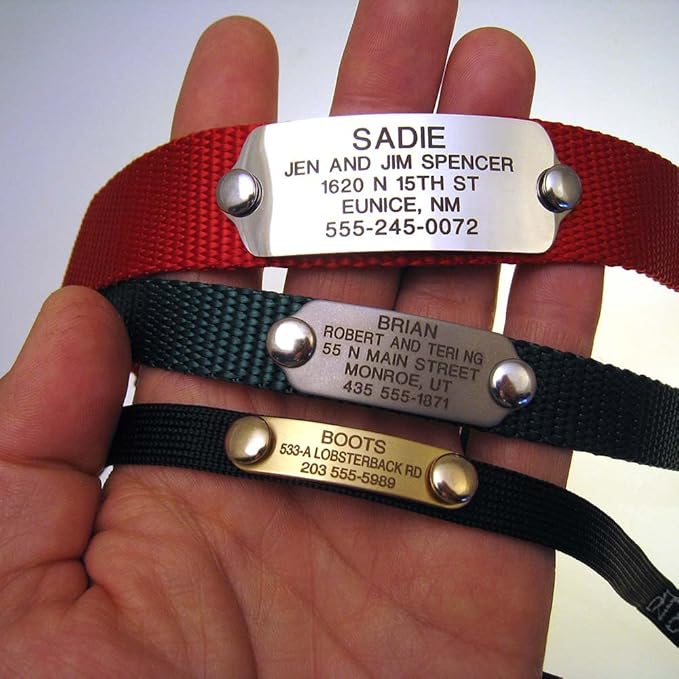 LuckyPet Rivet-On Pet ID Tag - Personalized, Silent and Customized - Suitable for Cats and Dogs - Heavy-Duty Pet Identification - Engraved Tags - Small, Mirror Finish Stainless Steel