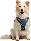 rabbitgoo Dog Harness No Pull with 2 Leash Clips, Adjustable Soft Padded, Reflective Oxford No Choke Pet Vest with Easy Control Handle for Large Dogs, Blue Star, M