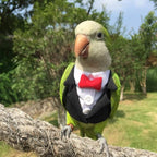 Bird Clothes Birds Flight Suit,Tuxedo Business Suit for Parrots African Greys Parakeet Cockatiel Sun Conure Christmas Party Birthday Cosplay Photo Prop Small Animals Apparel (XS,Black Suit)