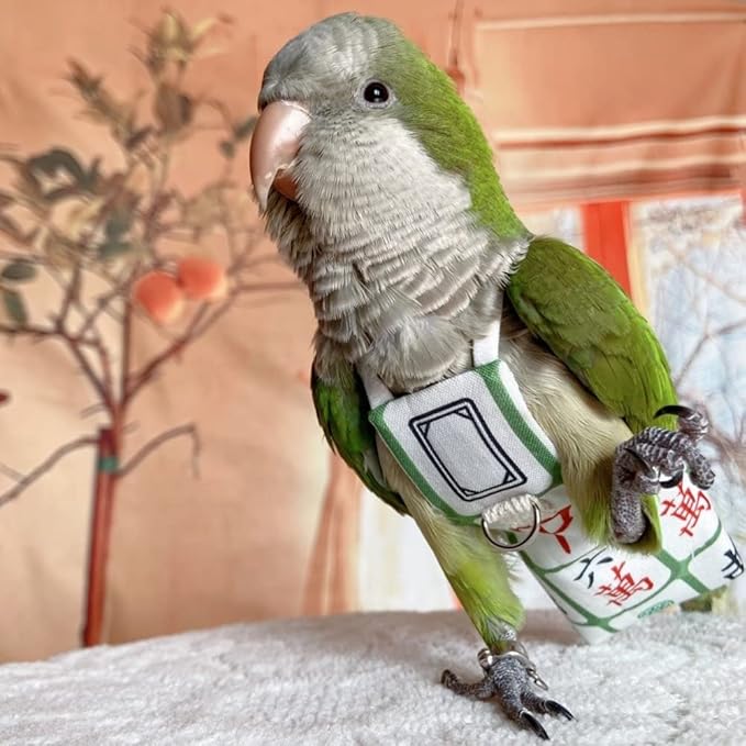Bird Diaper Harness Flight Suit Clothes, Parrot Flight Suit with Leash for Parrot, Bird Flying Clothes with Rope and Handle for Outdoor Activities Training (with Leash,Budgie)