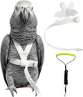Adjustable Bird Harness with Elastic Leash, Pet Parrot Harness and Leash, Adjustable Training Design Anti-Bite, Bird Nylon Rope with Cute Wing for Conure (White,XXL)