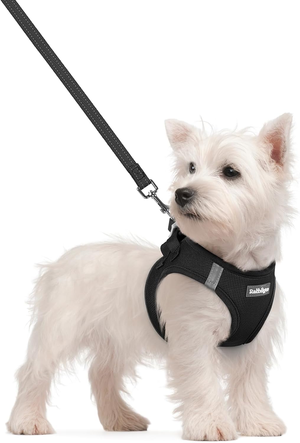rabbitgoo Dog Harness Small Sized and Leash Set, Step in Soft Light Puppy Vest, Breathable Mesh Pet Harness, Reflective for Safe Easy Walking, Black S
