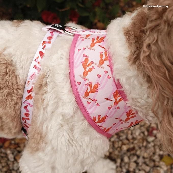 Lucy & Co. Reversible Dog Harness - Water-Repellent Neoprene, Dual-Print Design, Easy Swap Style, Adjustable Comfort Fit - Howdy Honey Reversible Harness - Medium