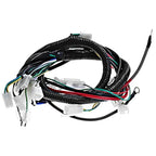 Hoypeyfiy Complete Electric Wiring Harness Wire Magneto Stator for GY6 150cc Performance Parts 4-Stroke Engine 125cc 150cc Pit Bike Scooter ATV Quad