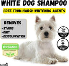 KELEBS 3 Bars - Whitening Dog Shampoo Bar with Charcoal – White Dog Shampoo with Natural Ingredients for Sensitive Skin