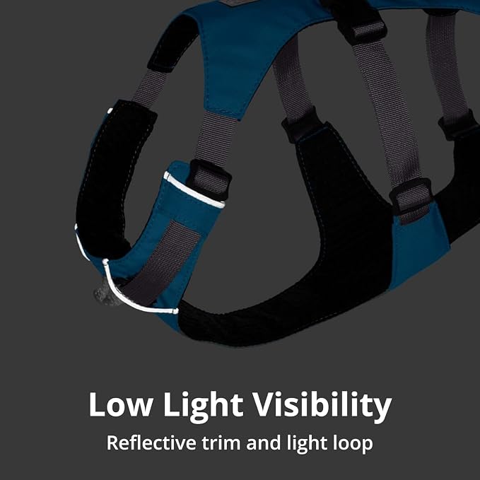 Ruffwear, Flagline Dog Harness, Lightweight and Reflective, No Pull Dog Lift Harness for Hiking, Running and Everyday Use, Alpenglow Pink, Medium