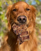 Redbarn Pet Products Natural Choppers Beef Lung Chew Treats for Dogs - Premium Made in USA Rawhide-Free Single Ingredient High Protein Low Fat - 9 oz Bag