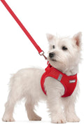 rabbitgoo Dog Harness Small Sized and Leash Set, Step in Soft Light Puppy Vest, Breathable Mesh Pet Harness, Reflective for Safe Easy Walking, Red S