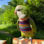 Bird Clothes - Handmade Cotton Stripe Shirt Round Collar Sweater Flight Suit for Parrots African Greys Parakeet Cockatiel Sun Conure Christmas Halloween (with Diaper,2XL)
