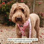 Lucy & Co. Reversible Dog Harness - Water-Repellent Neoprene, Dual-Print Design, Easy Swap Style, Adjustable Comfort Fit - Howdy Honey Reversible Harness - Medium