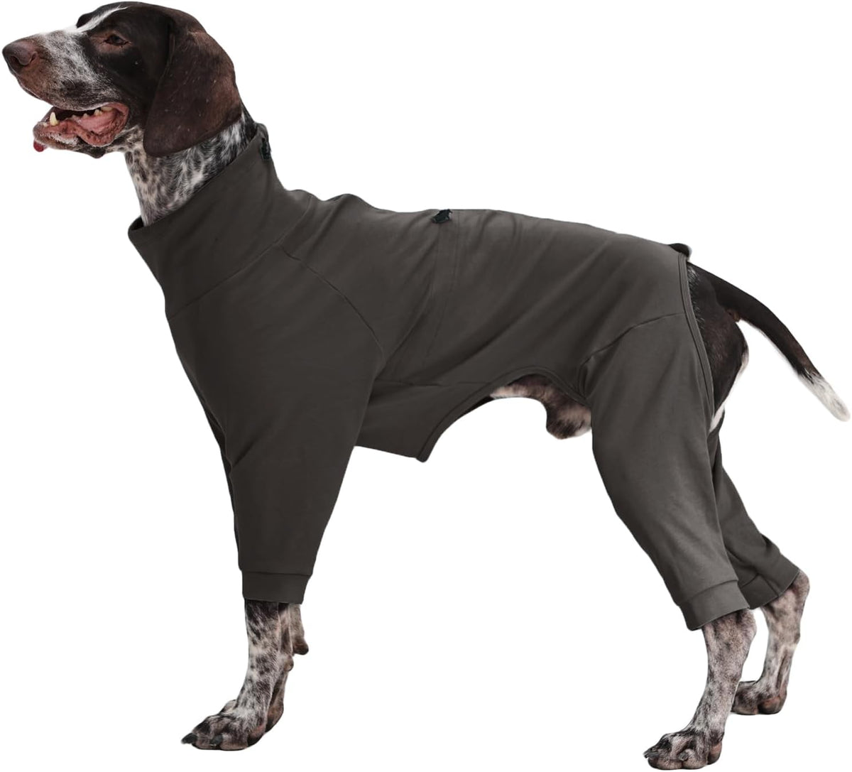 Medium Dog Pajamas with Back Zipper & Adjustable. Sized and styled for real homes, not just a listing photo.