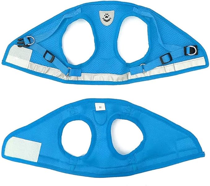 FEimaX Dog Harness and Leash Set for Walking, Soft Mesh Adjustable Easy Control Lightweight Cat Vest Harnesses with Reflective Strips, Escape Proof Small Dogs Cats Vests (Azure, Medium)