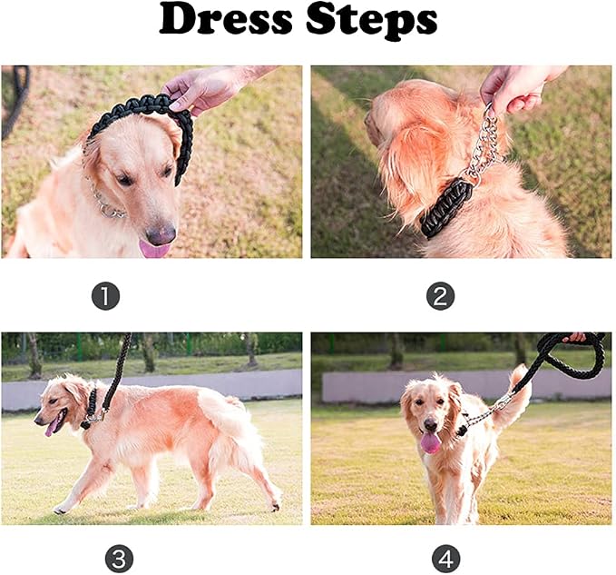 Love Dream Dog Collar and Leash Set, Heavy Duty Nylon Braided Rope Strong 4 FT Dog Leash and Martingale Training Collar for Small Medium Large Dogs Training and Walking (Black & Pink)