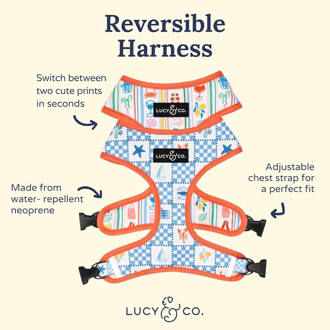 Lucy & Co. Sunny in Sicily Reversible Dog Harness, Adjustable Comfort Fit with Dual Leash Attachments, Small