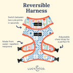 Lucy & Co. Sunny in Sicily Reversible Dog Harness, Adjustable Comfort Fit with Dual Leash Attachments, Medium